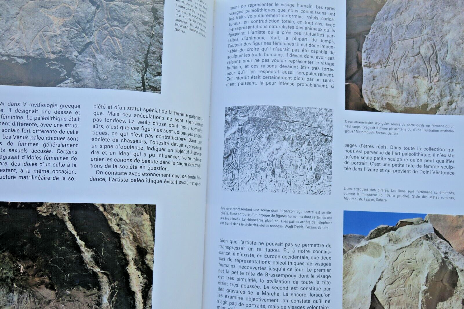 Jagdgesellschaften und ihre wilden Ursprünge - Image 5