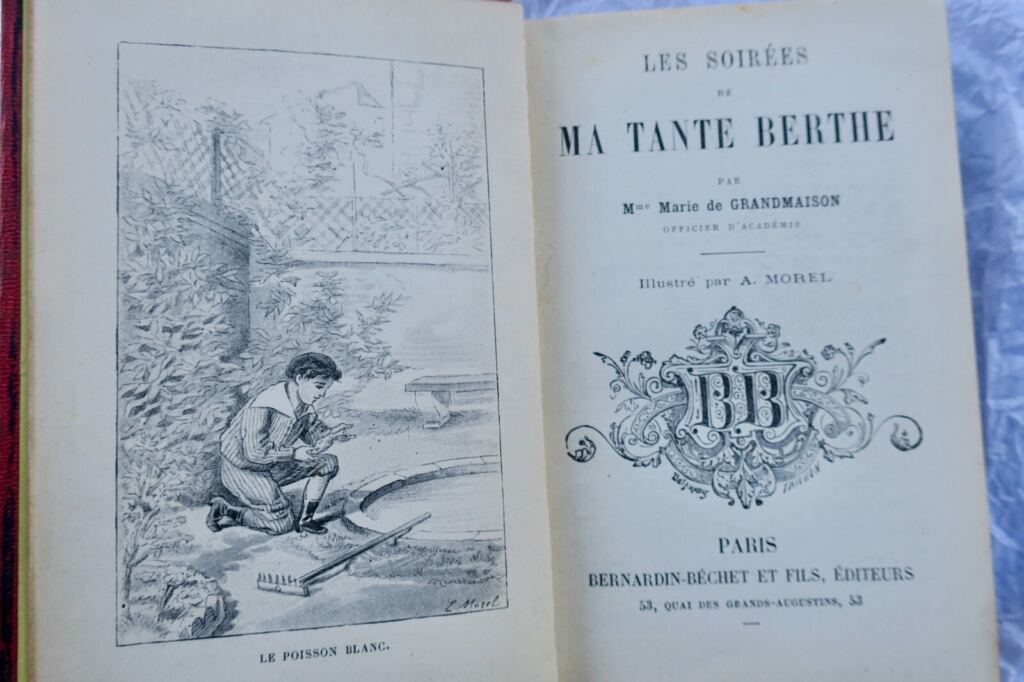 Aunt Berthe's Evenings - Illustrated Edition