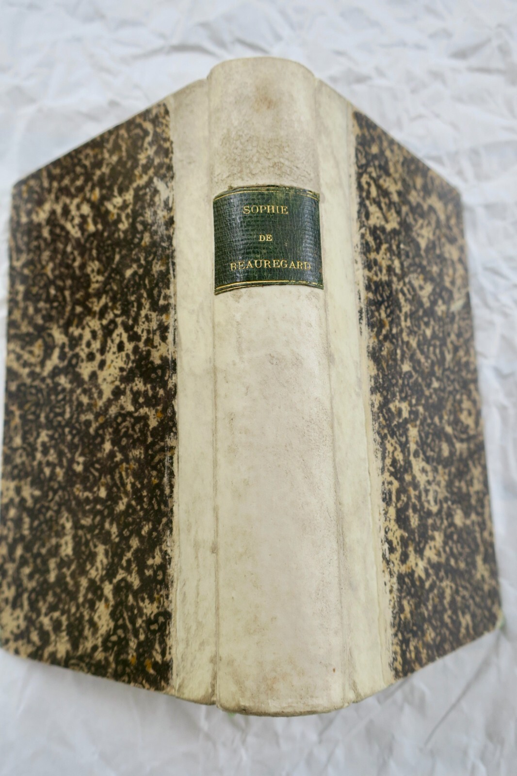 Sophie de Beauregard: Eine Geschichte echter Liebe - Image 7