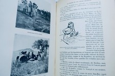 Koloniale Einblicke in die Familie Kerdalec - Image 21