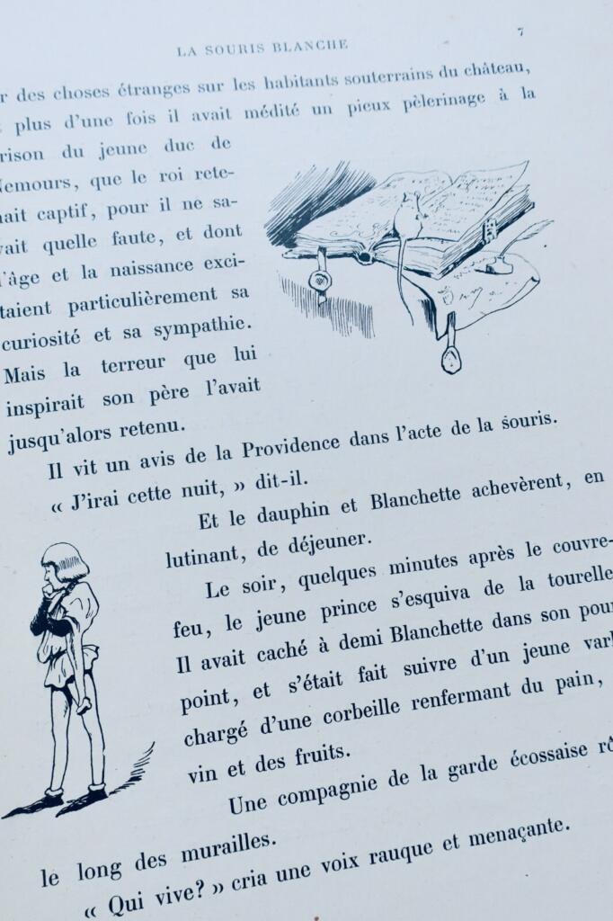 Souris blanche illust-Pinchon