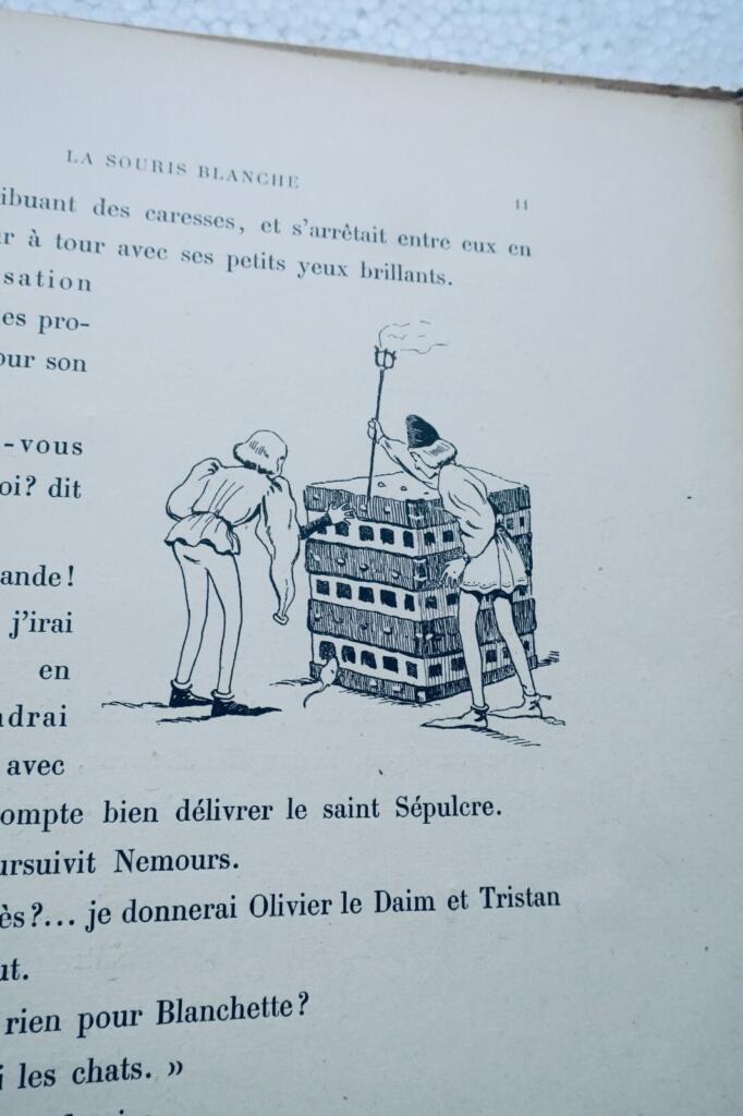 The White Mouse - Illustrated Edition