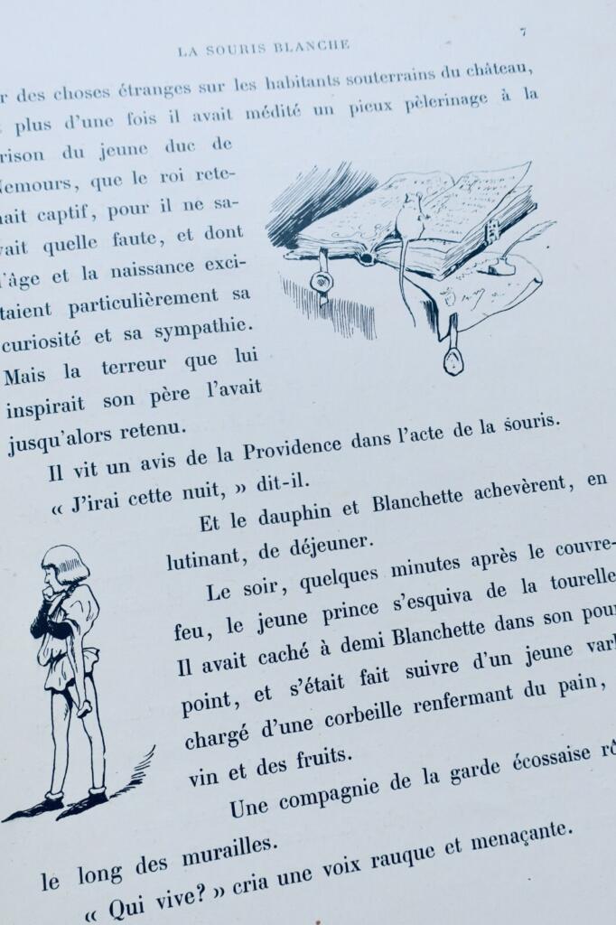 The White Mouse - Illustrated Edition