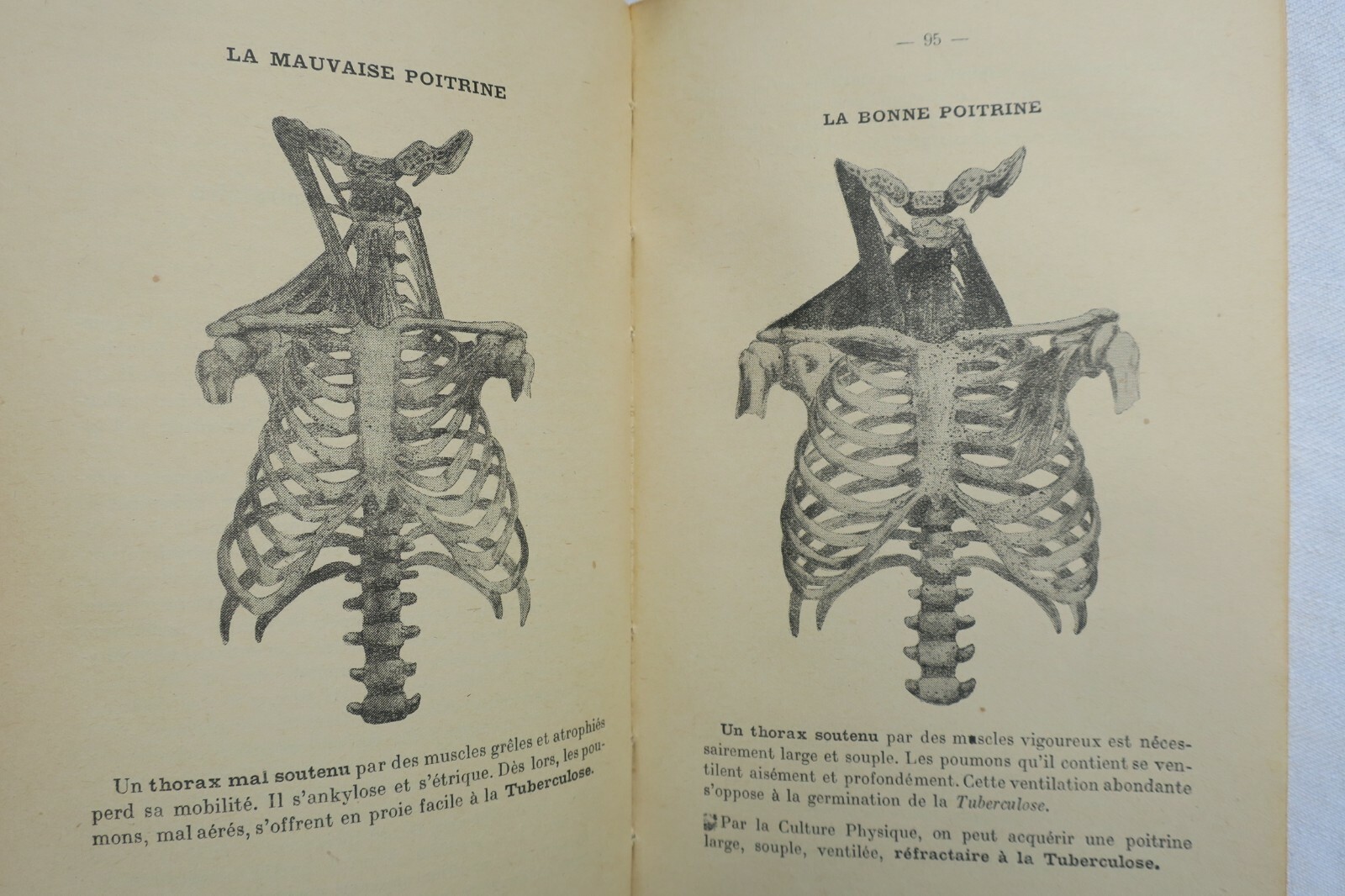 Strength and Fitness Manual for Everyone - Image 3