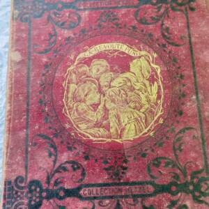 A Boarding School Girl's Journal of Punishment