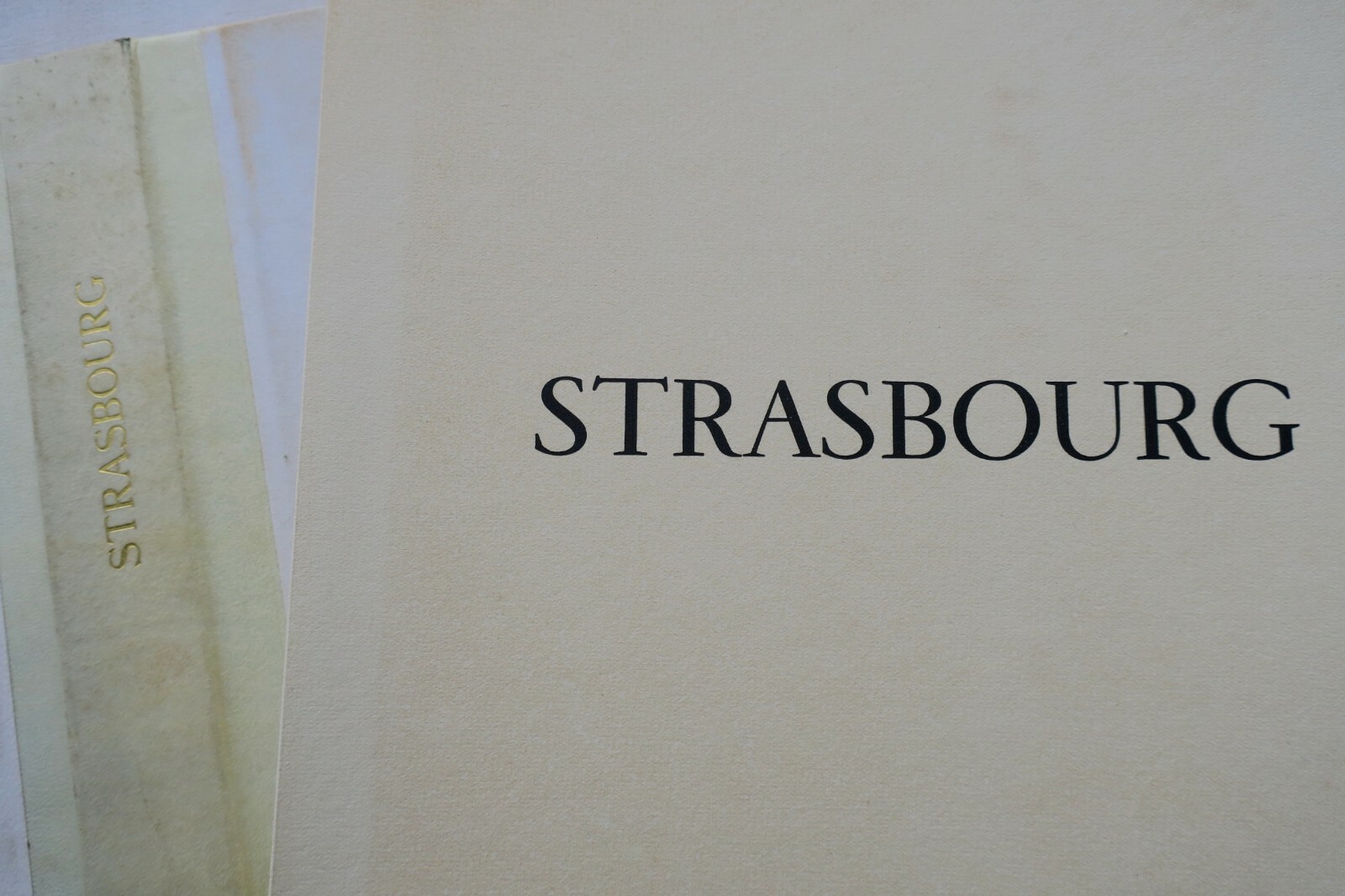 ストラスブールのエリオグラビュール<span class="lla-card-orig-wrap"><span class="lla-card-orig">❦ Strasbourg, héliogravures d’après divers documents 1493-1855</span></span> - La Librairie Antique
