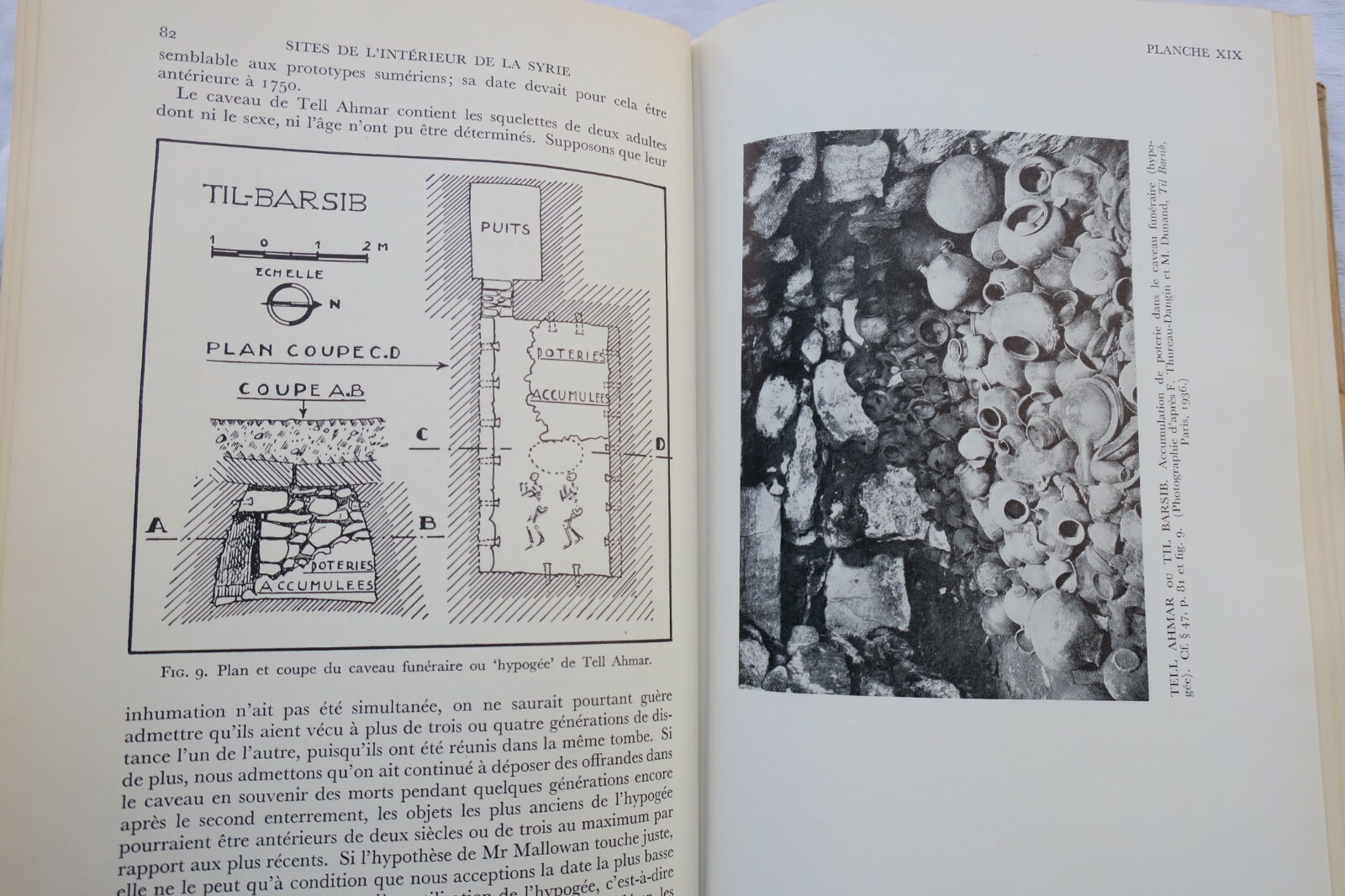 Stratigraphie comparée et chronologie de l'Asie occidentale 1948 – Image 7