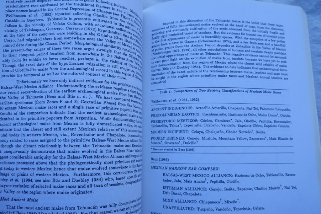 Research on ancient societal transformations