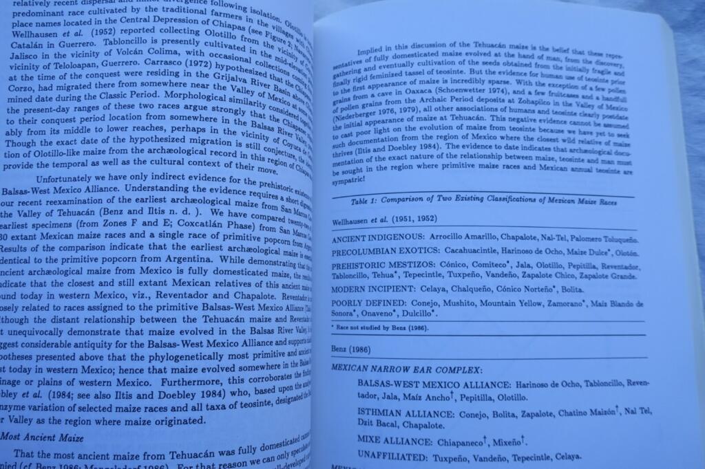 Studies in the Neolithic and Urban revolutions