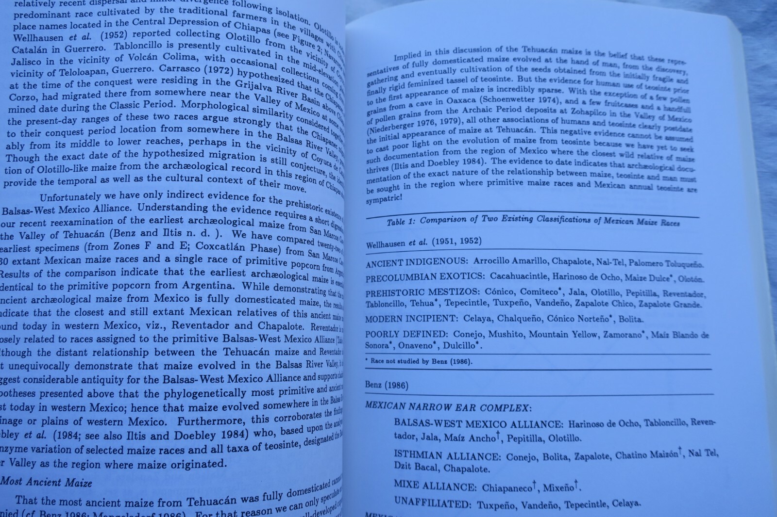 Neolithic and Urban Evolution Studies - Image 6