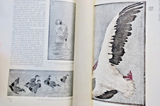 STUDIO art & Crafts The Studio Magazine of Fine and Applied Art 1911 - Image 33