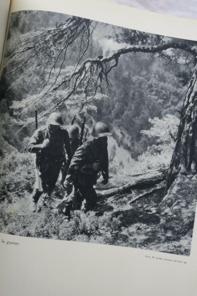 Switzerland Armed: 1940 Border Defense