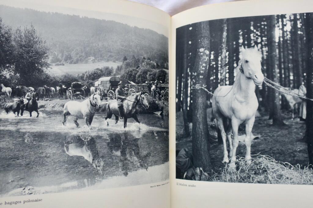 Switzerland Armed: 1940 Border Defense