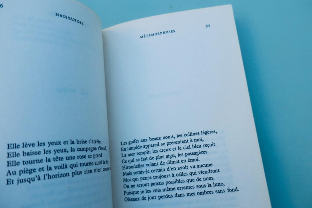 Geburten: Gedichte und poetische Überlegungen