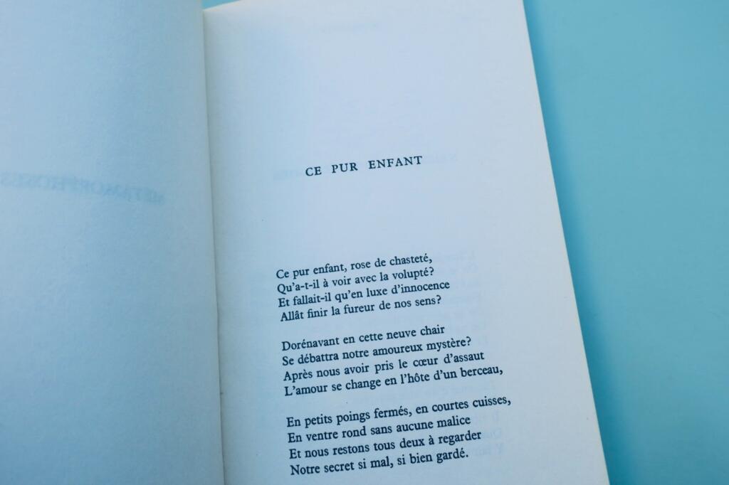 Geburten: Gedichte und poetische Überlegungen