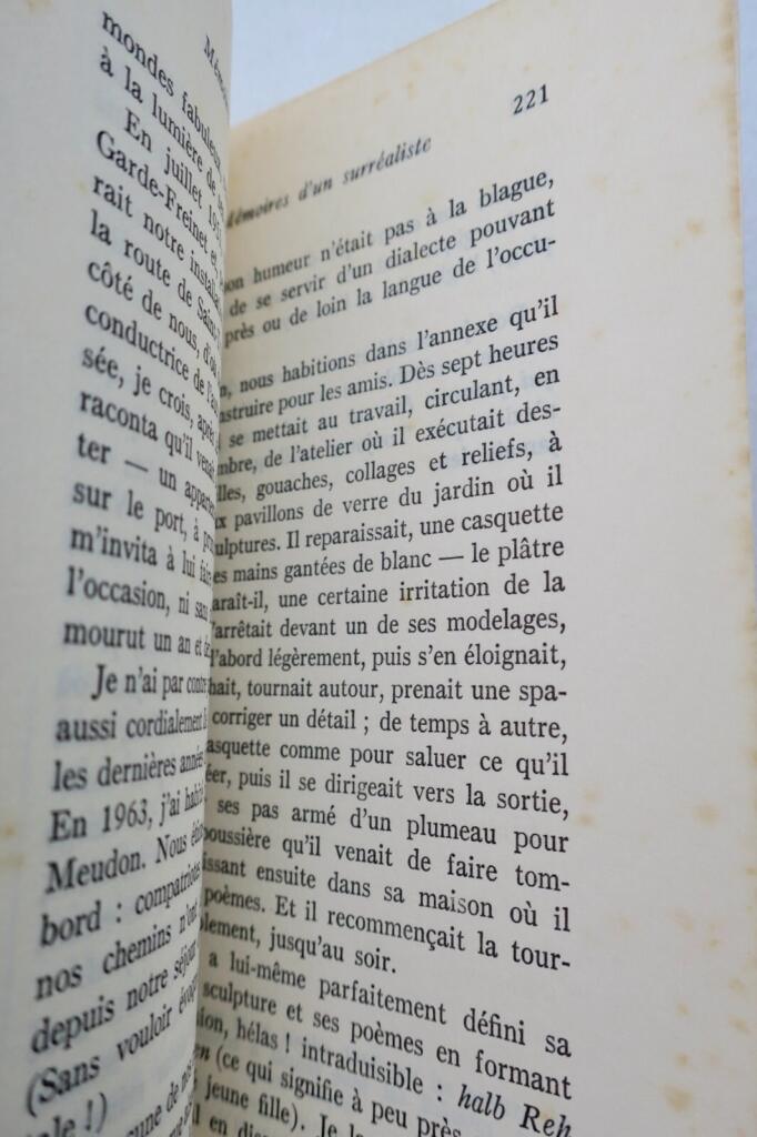 Surrealist memoirs and artistic reflections