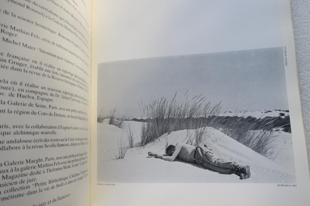 Philosophical reflections in surrealism