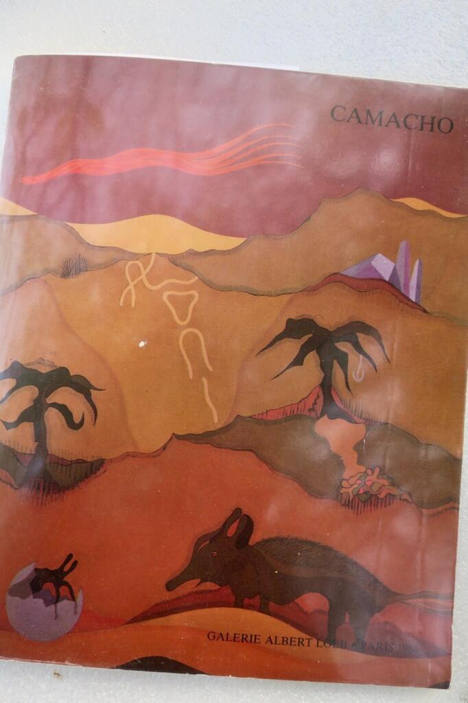 Philosophical reflections in surrealism