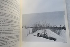 Surrealism: Philosopher in Landscape - Image 9