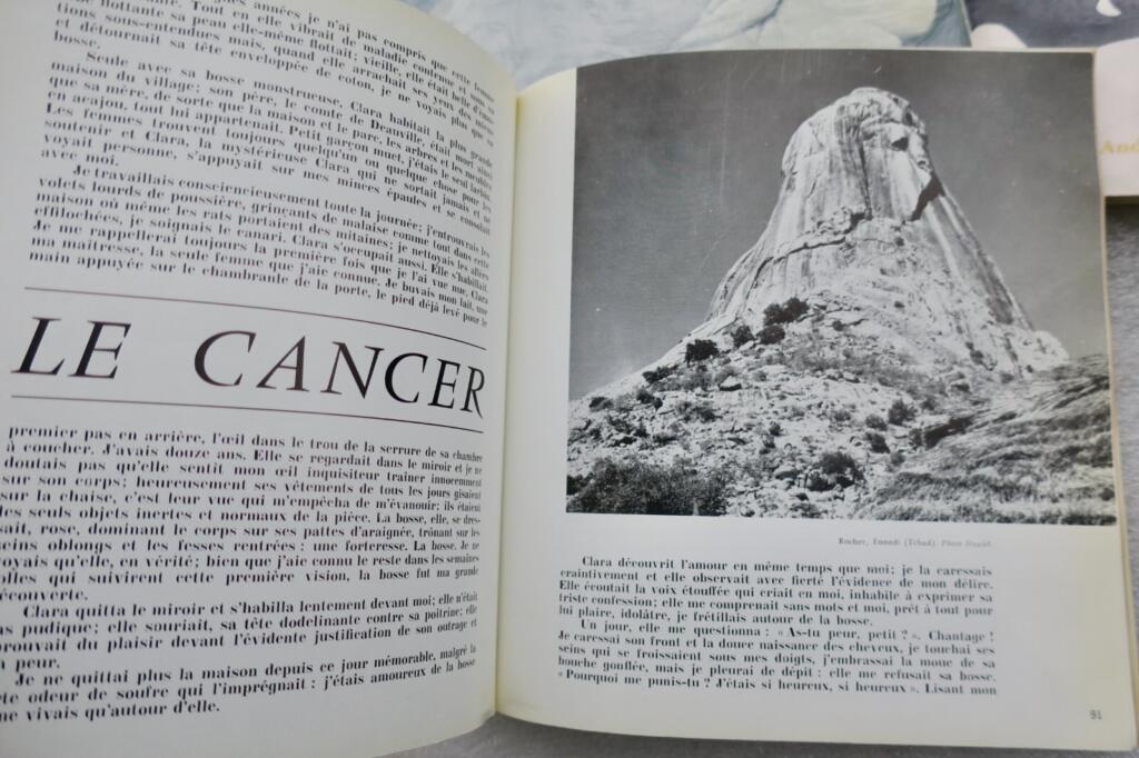 Surrealist Communication Collection