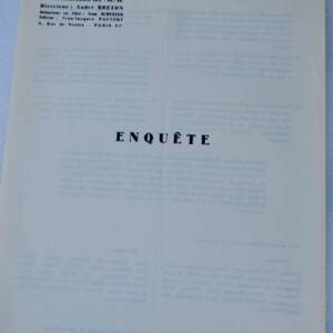 Surréalisme, même : ENQUÊTE