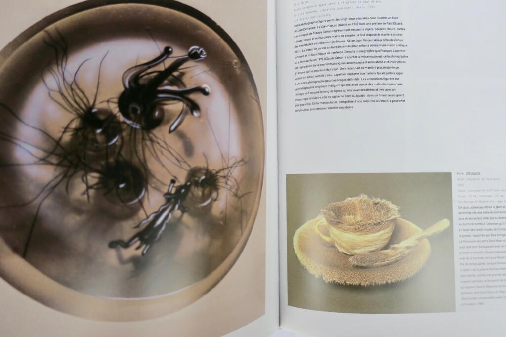Surrealism: Comprehensive illustrated survey