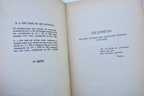 Poems reflecting on existence
