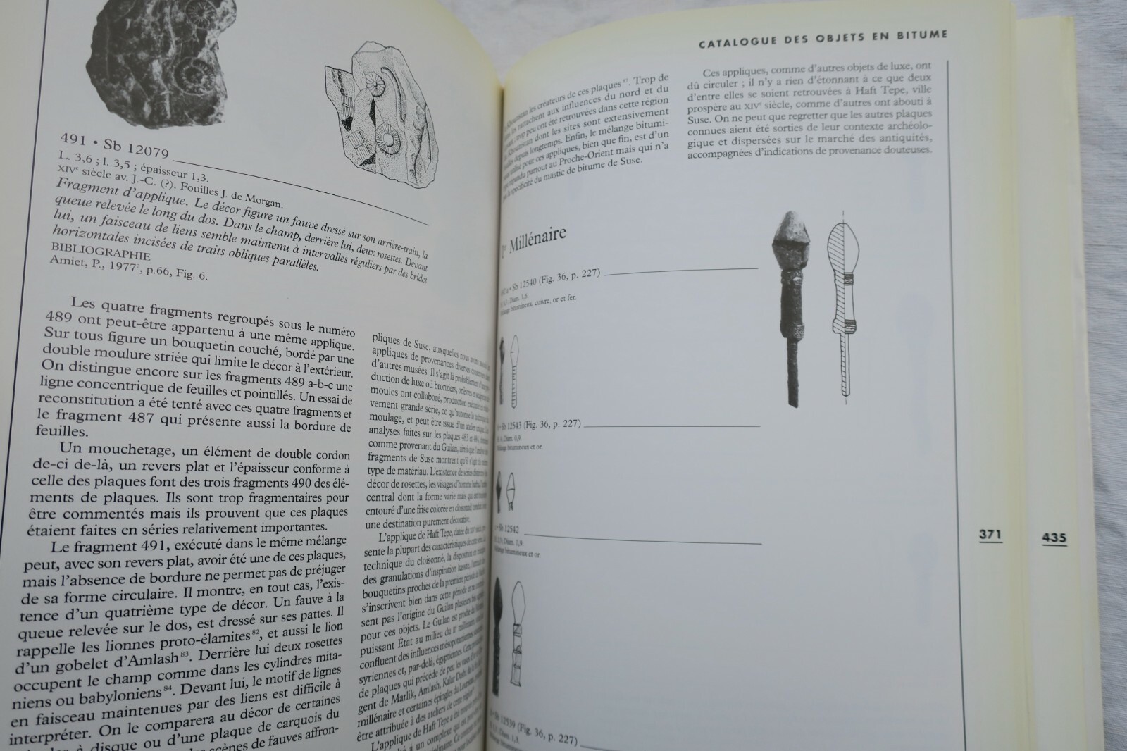 Einzigartige Einblicke in die Bitumensammlung des Louvre<span class="lla-card-orig-wrap"><span class="lla-card-orig">❦ SUSE Le bitume à Suse – collection du musée du louvre</span></span> - La Librairie Antique