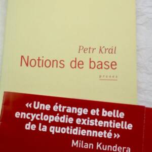Suuréalisme KRAL (Petr). Notions de base. Proses
