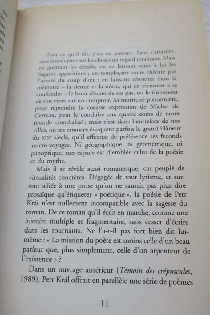 Suuréalisme KRAL (Petr). Notions de base. Proses