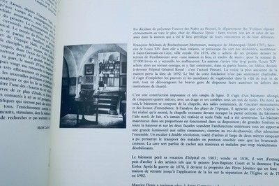Symbolismus & Nabis: Maurice Denis Epoche