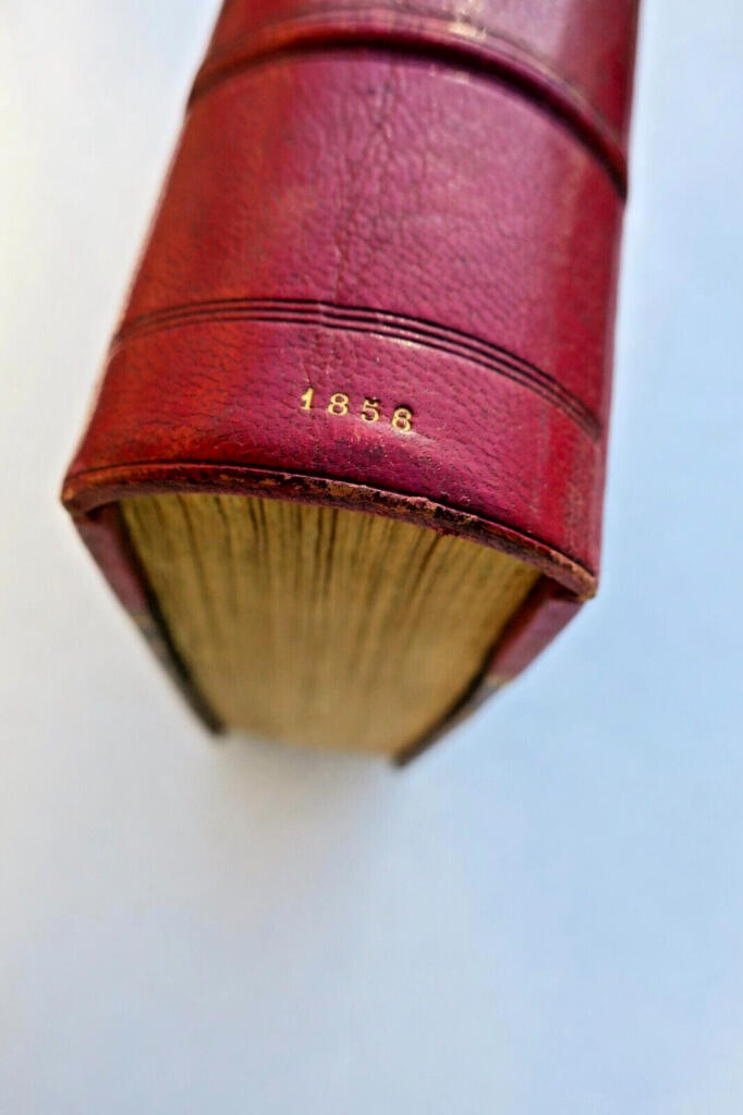 French Language Synonyms Dictionary