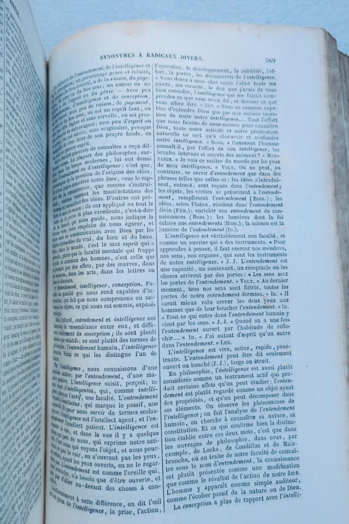 French Language Synonyms Dictionary