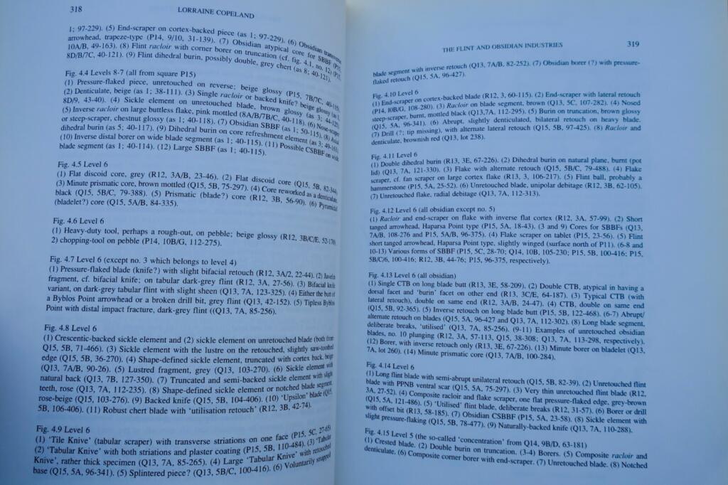 Neolithic Excavation Report from Syria
