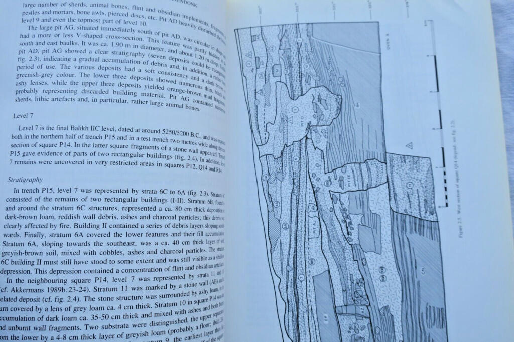 Neolithic Excavation Report from Syria