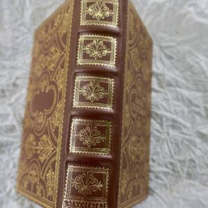 King David and the Prophet - Hungarian Edition