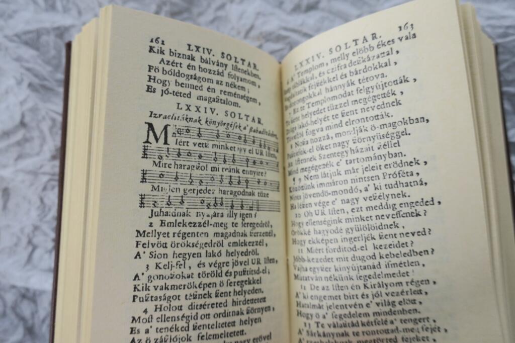 Saint David's Prophecies - Miniature Edition