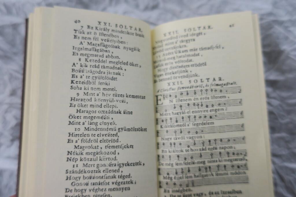 Saint David's Prophecies - Miniature Edition