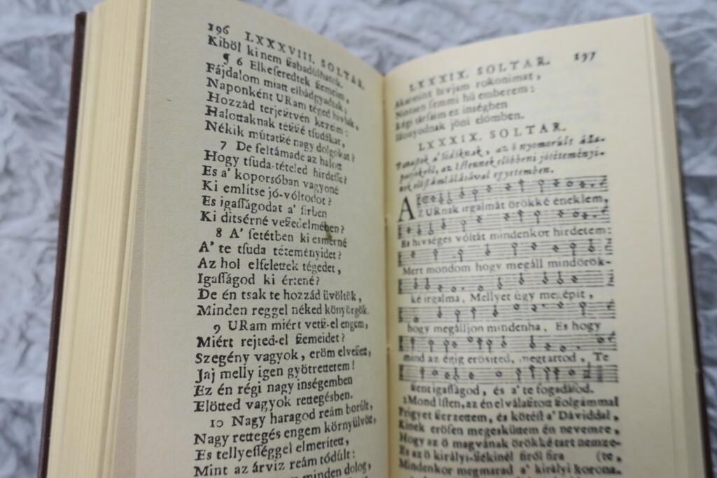 Saint David's Prophecies - Miniature Edition