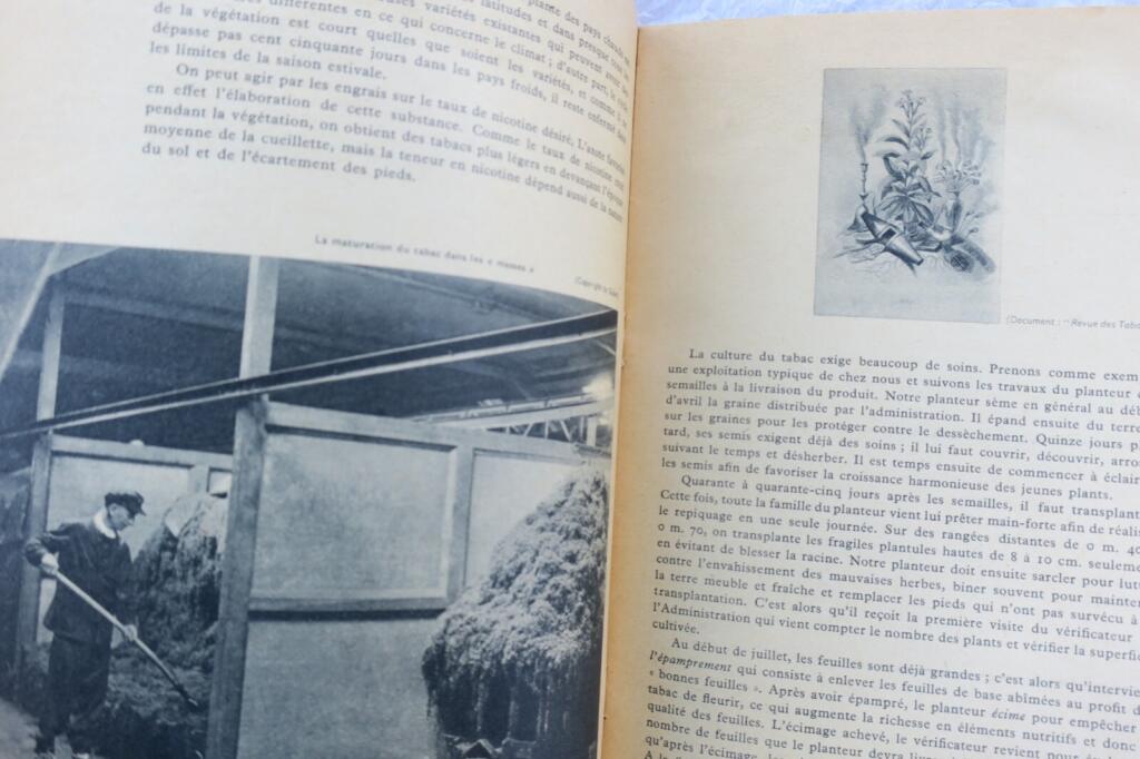 Französische Tabakdokumentation von 1952