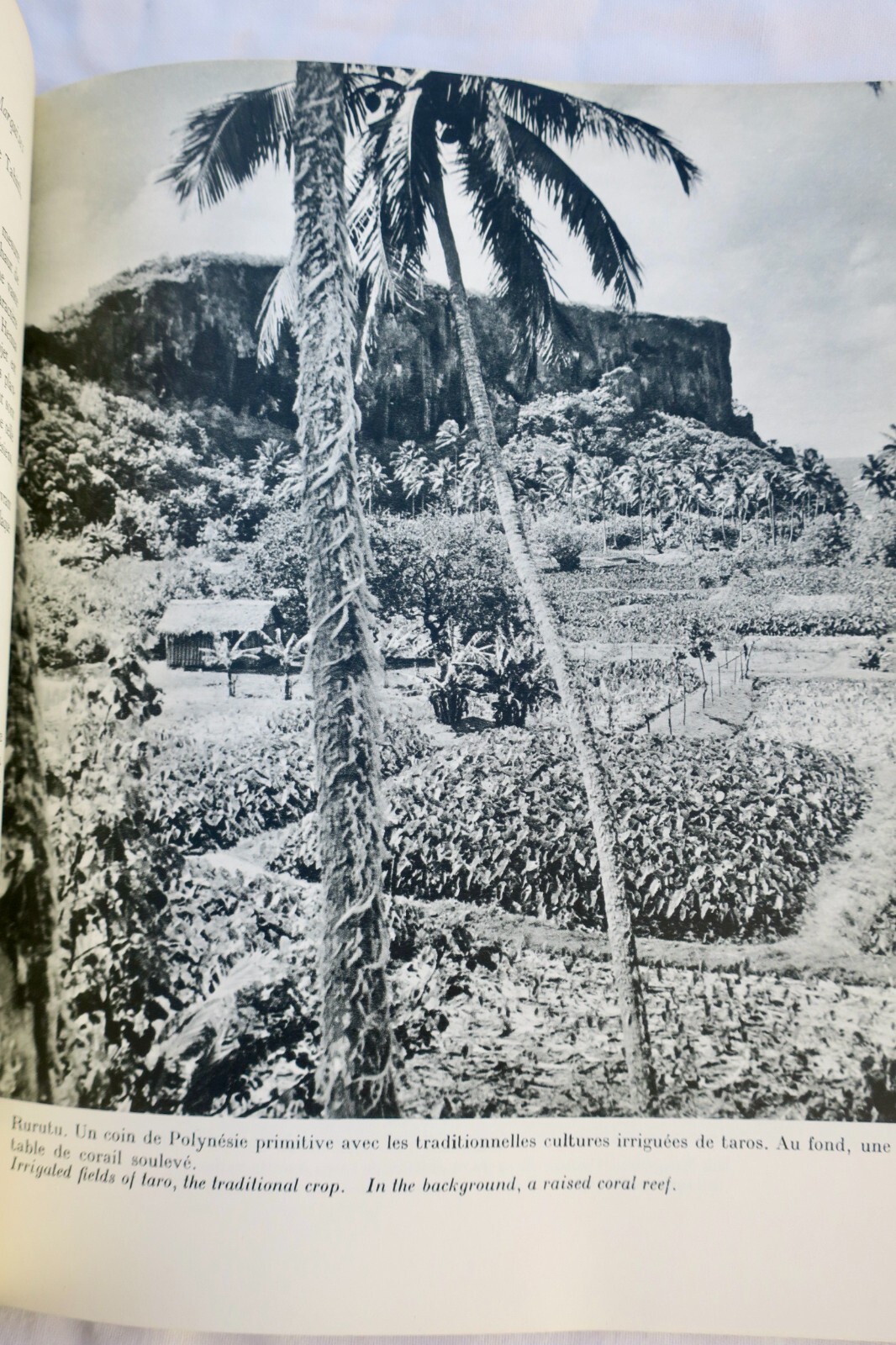 A comprehensive overview of Tahiti - Image 4