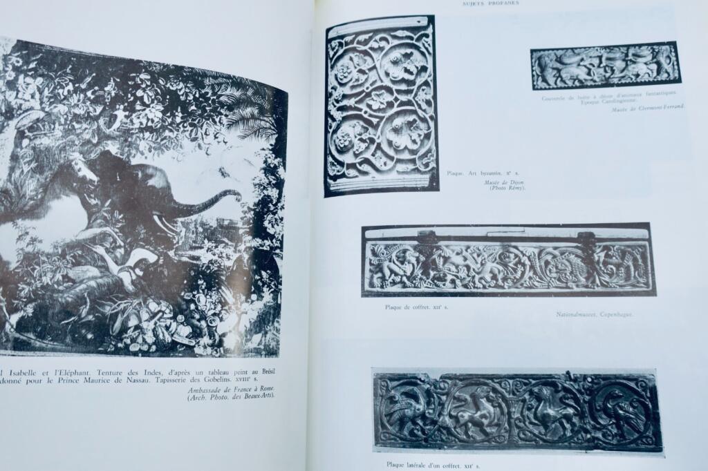 Exploration of European Ivories