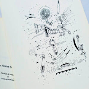 Travel diary with illustrations