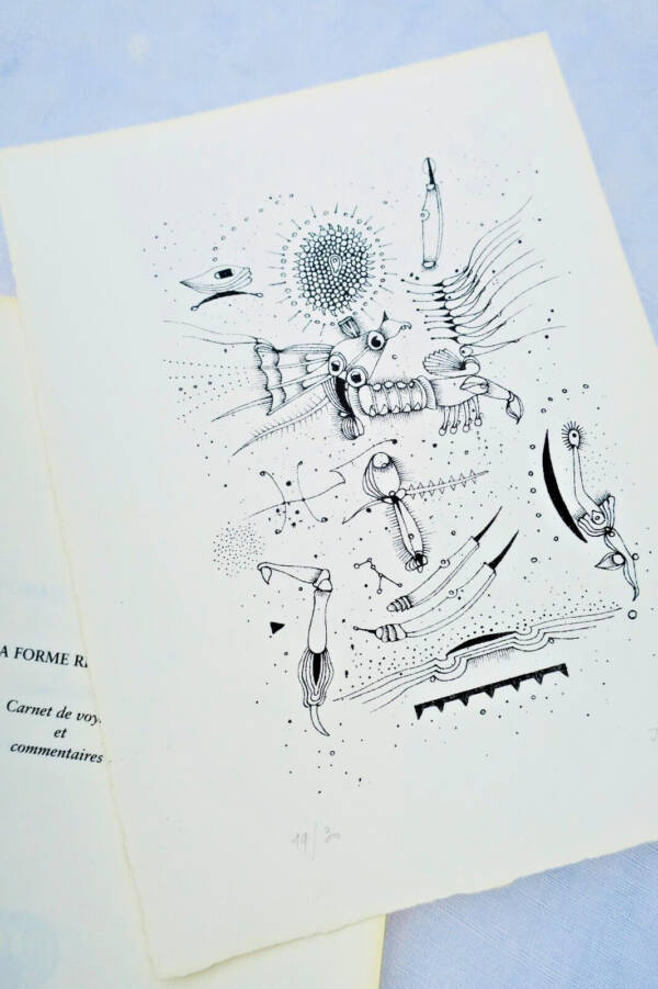Tarnaud Claude - Lacomblez Jacques La forme réfléchie. Carnet de voyage et...