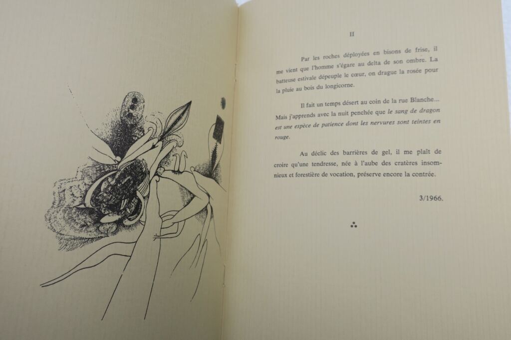 Reflective Form: Travel Journal and Sketches