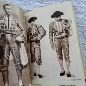 Bull Initiation to the Art of Bullfighting. (Bulls and Bullfighters).