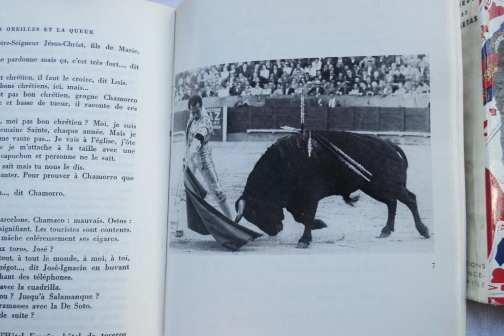Passion for Bullfighting