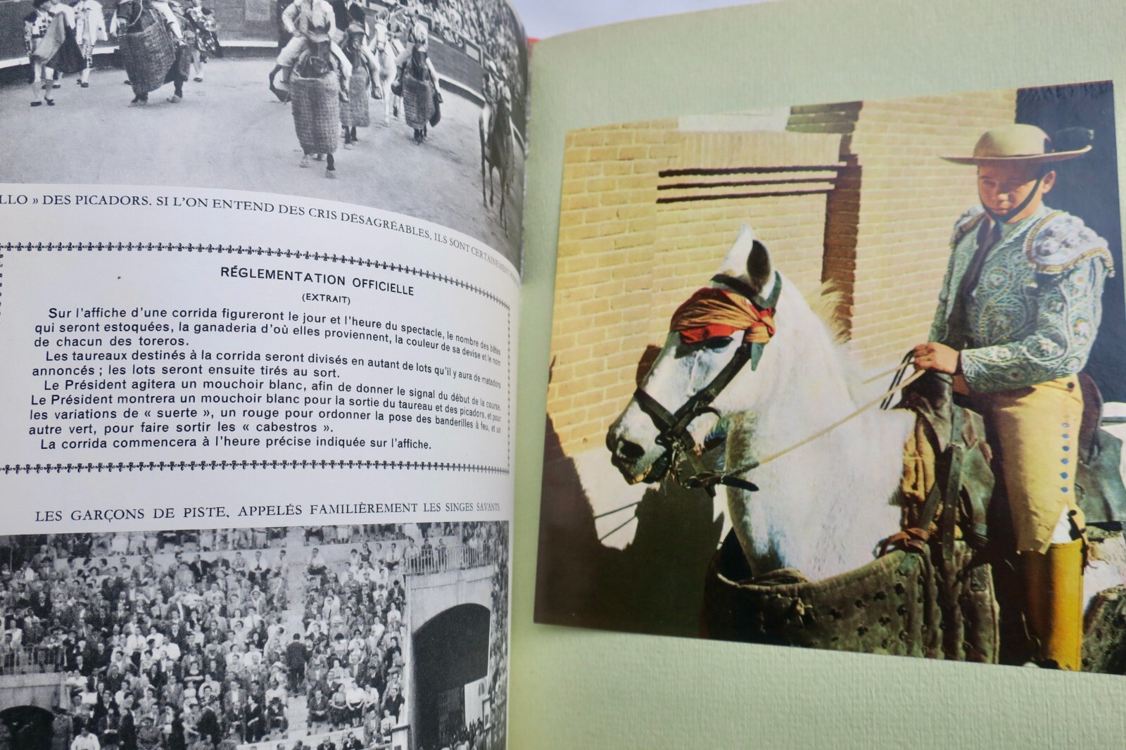 斗牛传记 - Image 7