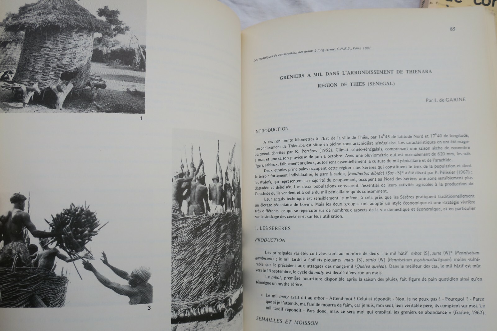 Long-term grain preservation techniques and cultural systems - Image 5