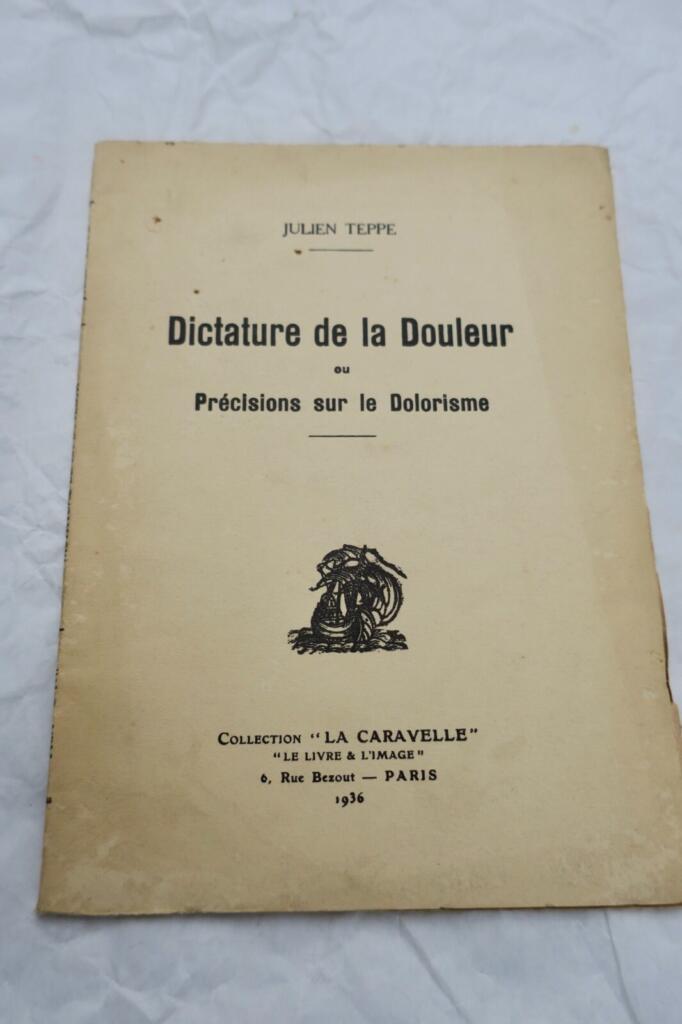 Philosophy of Pain: Dolorism Explored